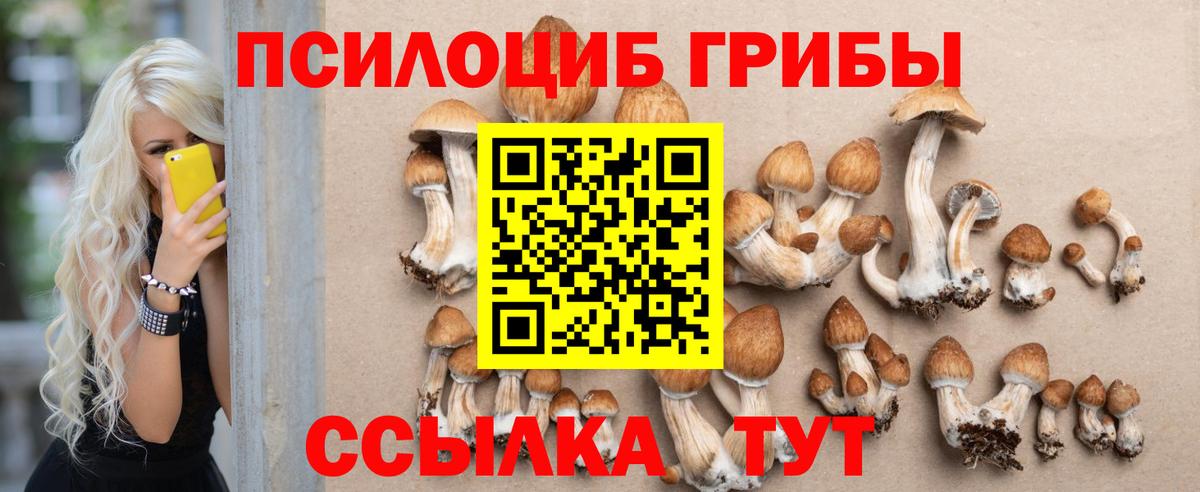 Белебей  Псилоцибиновые грибы GOLDEN TEACHER  Вход с VPN 